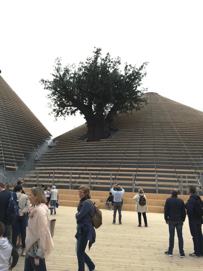 Sabato 23 maggio 2015: visita all'EXPO di Milano